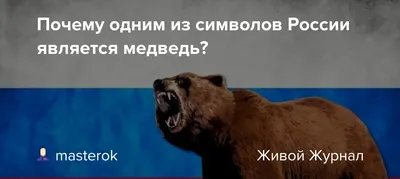 Если символ России – медведь, то кто –является символом США? | Почему? |  Дзен
