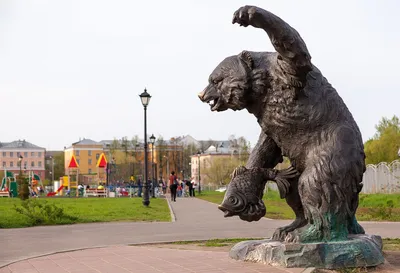 Скачать обои большой, мишка, бурый медведь, косолапый, символ России,  раздел животные в разрешении 1366x768