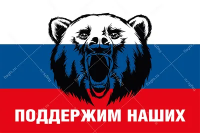 Россияне раскрыли свое отношение к медведю как символу России — РБК
