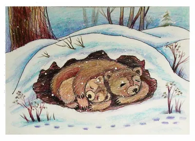 два бурых медведя у ручья снежной зимой, медведи в медвежьем парке  ноборибецу, ноборибецу, Хоккайдо Hd фотография фото фон картинки и Фото для  бесплатной загрузки