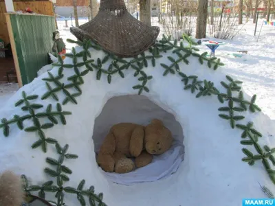 Биологи рассказали, как спят и что делают зимой медведи в Тверской области  | Пикабу
