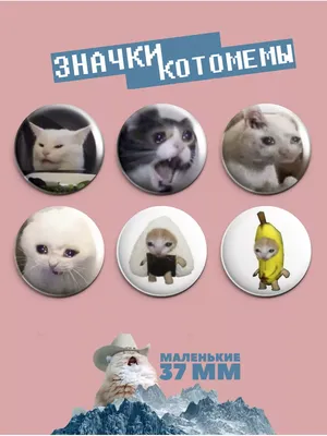 Коты в меме: как мемные котики стали популярными» — создано в Шедевруме