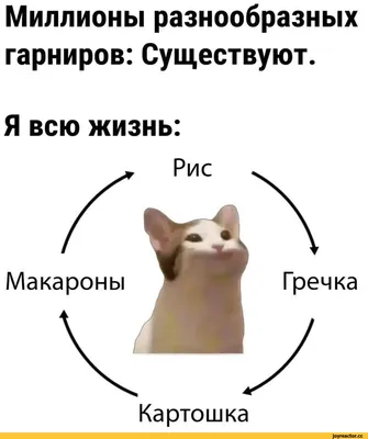 10 популярных мемов с историей, без которых сложно представить мир  интернета - ЯПлакалъ