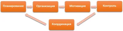 Менеджмент в дизайн-бизнесе – Институт бизнеса и дизайна