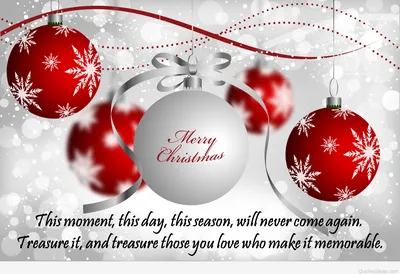 Merry Christmas May You and Your family have a joyful and festive Christmas  family blu… | Merry christmas wishes images, Merry christmas gif, Merry  christmas photos