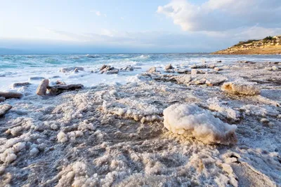 Куда поехать на Мертвое море – курорт Эйн-Бокек в Израиле | РБК-Україна