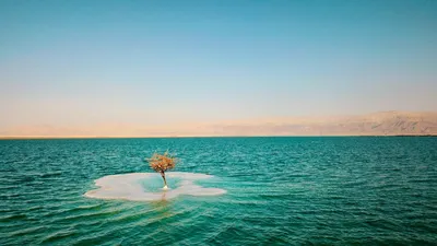 Мертвое море (Израиль) ✴️ горящие туры, путевки, отдых 2023 – туроператор  КОМПАС