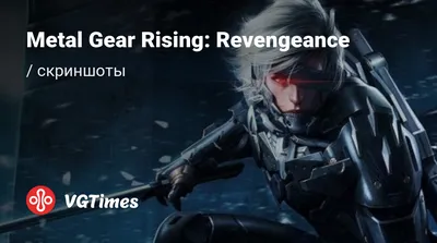 Скачать обои sword, DLC, Blade Wolf, LQ-84i, Maverick, Metal Gear Rising: Revengeance, Armor Breaker, раздел игры в разрешении 1024x1024