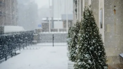В Тверском регионе 23 ноября ожидается снег, метель и гололедица - Газета  Вся Тверь