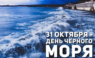 Тематический день «У Чёрного моря» | Централизованная библиотечная система  города Ярославля