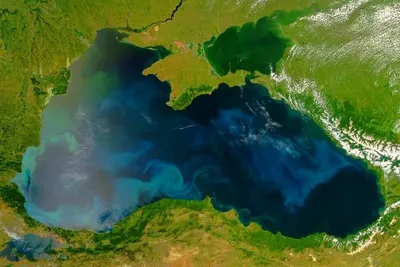 Поздравляем с Международным днем Черного моря!