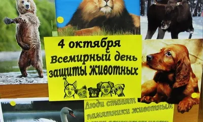 Всемирный день защиты животных - Новости - БелДрук