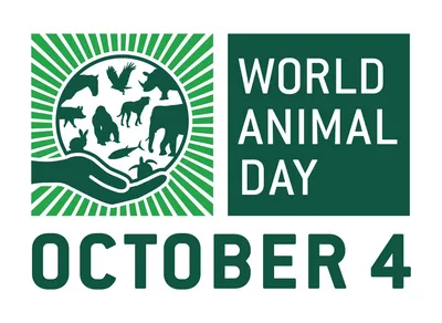 Международный день защиты прав животных