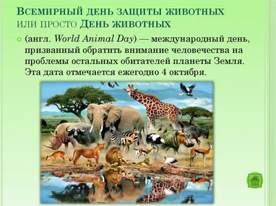 🌎🐾Сегодня по всему миру отмечают международный день защиты животных! 🐾🌍  Поэтому сегодня мы хотим отдать дань.. | ВКонтакте