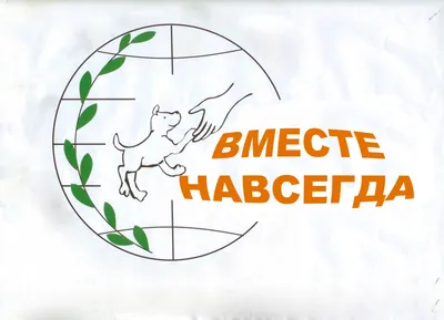 Международный день защиты животных отметили в Одесском зоопарке — Новости —  Официальный сайт города Одесса