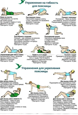 Грыжа или протрузия? Лучшие лечебные упражнения. Лучшие лечебные упражнения  - купить с доставкой по выгодным ценам в интернет-магазине OZON (273016747)