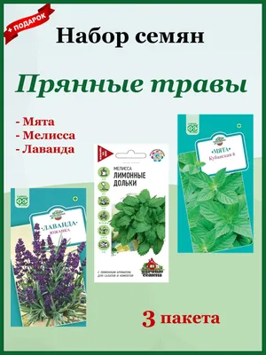 Зеленый чай Мята-Мелисса с мятой и мелиссой — Ahmad Tea / Беларусь