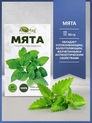 Семена «Мята Ментол» 0,03 г с бесплатной доставкой на дом из «ВкусВилл» |  Москва и вся Россия