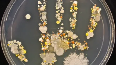 Дидактическая игра «Чистые руки — нет микробам!» (4 фото). Воспитателям  детских садов, школьным учителям и педагогам - Маам.ру