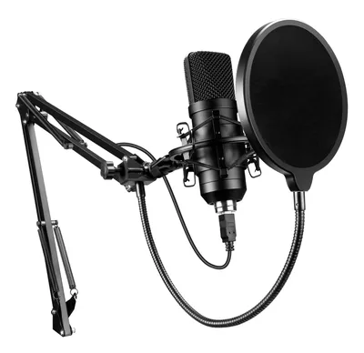 Вокальный микрофон Shure SM58-LCE — цена в интернет-магазине «Первый  музыкальный»