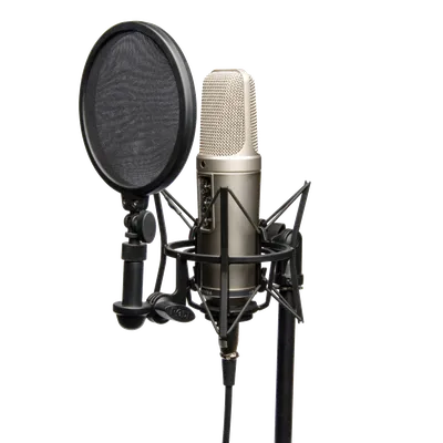 Профессиональный динамический микрофон Shure SM58S купить. Микрофон Shure  SM58S цена