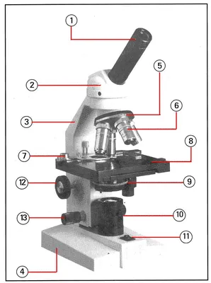 Микроскоп бинокулярный SVBONY SV605 40-1600х купить за 21 140 руб. в  магазине Планетарий. Розничный магазин и доставка.