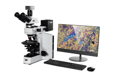 Купить микроскоп Levenhuk 400T, тринокулярный - интернет-магазин Levenhuk
