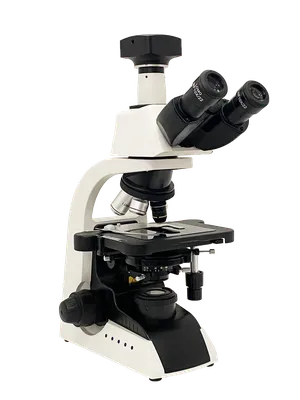 Микроскоп биологический Микромед 2 (2-20 inf.) купить за 51 770 руб. в  магазине Планетарий. Розничный магазин и доставка.