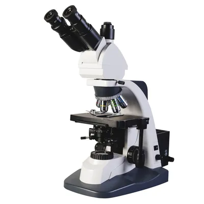 Цифровые микроскопы для учебы и лаборатории