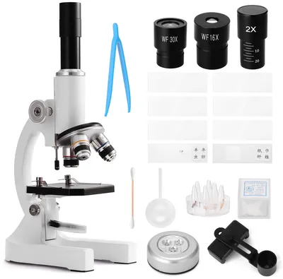 Купить микроскоп для школьника в кейсе Crystallite XSP-02 20x–2500x в  интернет-магазине Supereyes