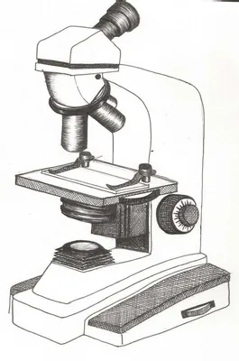 Микромед Микроскоп школьный C-13 с препаратами \"Старт.набор\"