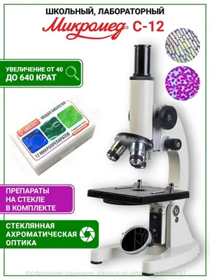 Микроскоп иллюстрация - 33 фото