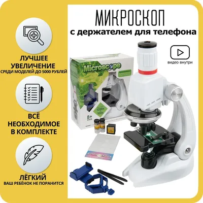 Микроскоп школьный С-12 Микромед 53324448 купить за 7 233 ₽ в  интернет-магазине Wildberries