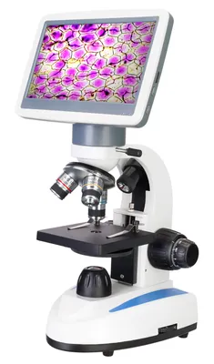 Микроскоп, виды, принцип работы и применение