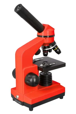 Микроскоп биологический инвертированный люминесцентный NIB630FL, Nexcope:  купить Инвертированные микроскопы