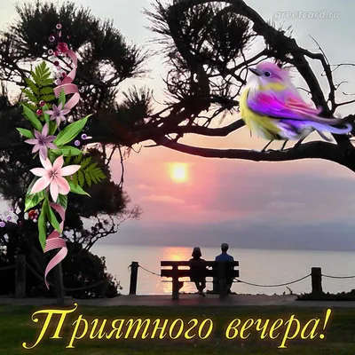 Друзья мои желаю вам Приятного вечера и Доброй ночи! Красивая музыкальная  открытка с пожеланием! ⭐🌙 - YouTube