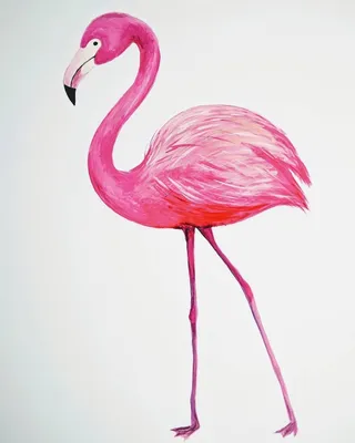 вектор милый розовый фламинго с короной и цветами PNG , розовый, задний  план, лето PNG картинки и пнг рисунок для бесплатной загрузки