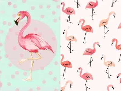 Набор милый мультяшный фламинго с большими глазами Векторное изображение  ©AlisaElly 307150954