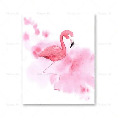 Розовый Фламинго Пара Влюблена Экзотические Милые Птицы — стоковая  векторная графика и другие изображения на тему Африка - iStock