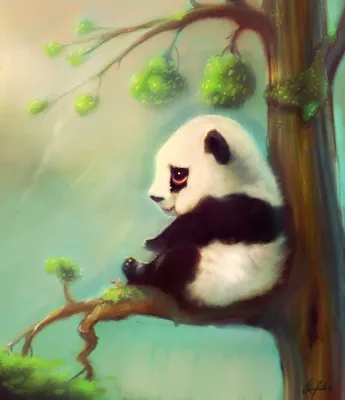 Зоопарк в Чианг Мае: милые панды и множество других животныхOlgatravel.com