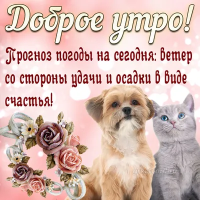 Милая открытка с добрым утром - GreetCard.ru