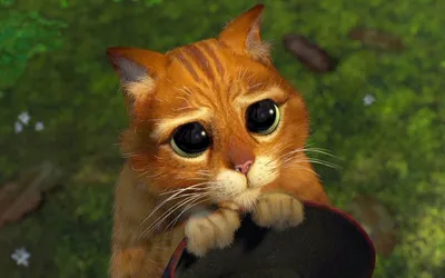 Кот в сапогах милые глазки (26 фото) | Иллюстрации кот, Кот, Мультфильмы