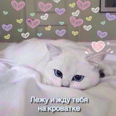 Больше эстетики и милых картинок в нашем телеграм канале ❣️🥺#сердечки... |  TikTok