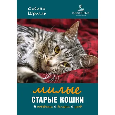 Картина для интерьера котенок и хомяк, милые котята в детскую, кошки 20х30  - купить по низкой цене в интернет-магазине OZON (911763330)