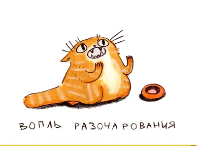 Самые милые коты - картинки и фото koshka.top