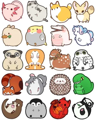 Милые животные для срисовки | Cute kawaii drawings, Kawaii drawings, Cute  animal drawings kawaii