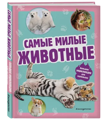 Набор открыток/карточек «Милые животные» с пожеланиями 10x15 см 20 шт в  интернет-магазине Ярмарка Мастеров по цене 300 ₽ – T4VPQRU | Открытки,  Москва - доставка по России