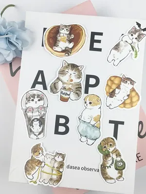 Кошки, котики, котята - очень милые ребята. Показываю интересные фото из  Яндекс.картинки с моими комментариями | Зинаида Павлюченко | Дзен