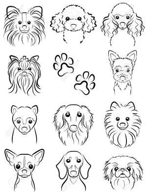 Картинки собак для срисовки карандашом (40 рисунков) | Рождественская собака,  Мультяшные собаки, Одеяло для собаки