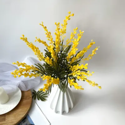 Мимоза - нежный весенний цветок | Ландшафтный дизайн | Дзен